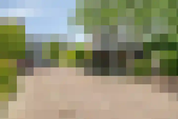 Baljuw 6 Naaldwijk thumbnail 36