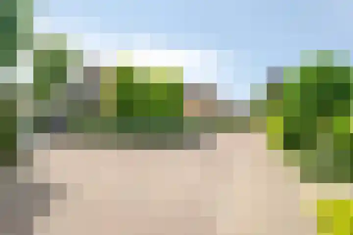 Baljuw 6 Naaldwijk thumbnail 37