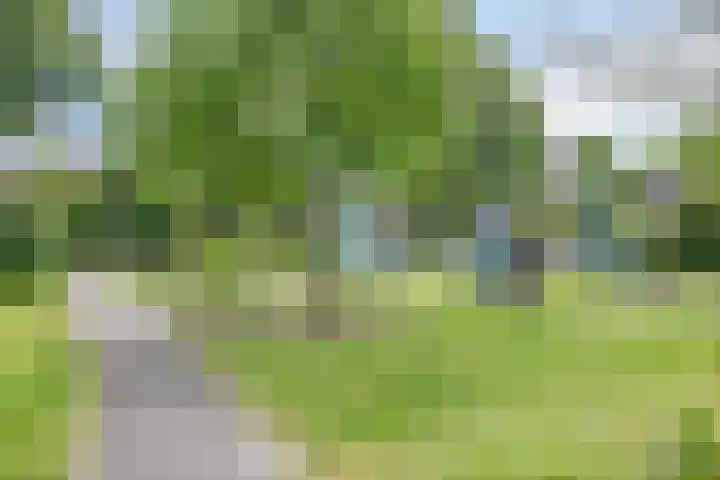 Baljuw 6 Naaldwijk thumbnail 38