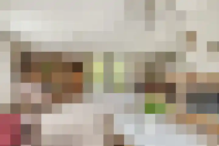 Baljuw 6 Naaldwijk thumbnail 4