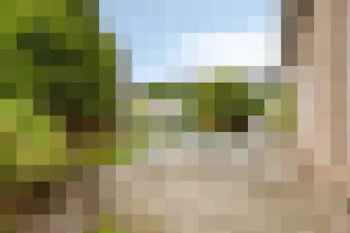 Baljuw 6 Naaldwijk thumbnail 40