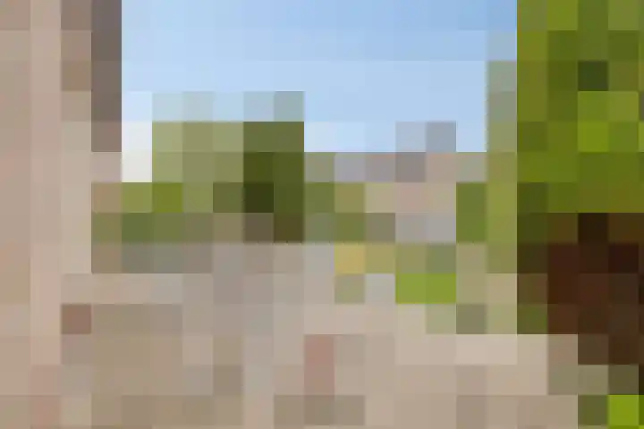 Baljuw 6 Naaldwijk thumbnail 41