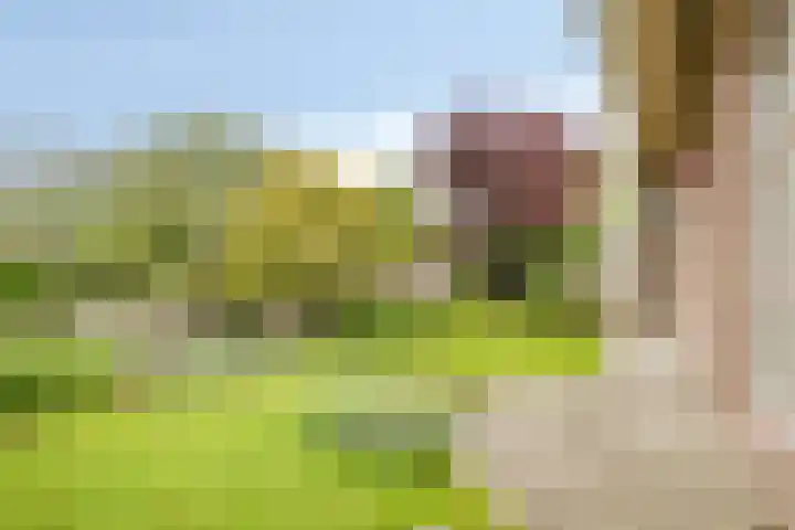 Baljuw 6 Naaldwijk thumbnail 42