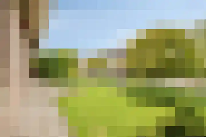 Baljuw 6 Naaldwijk thumbnail 43