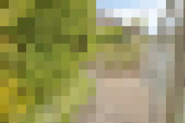 Baljuw 6 Naaldwijk thumbnail 44