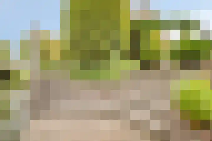Baljuw 6 Naaldwijk thumbnail 45