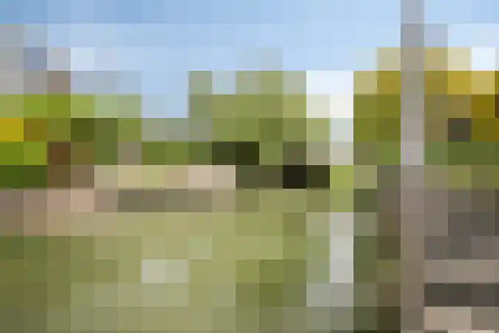 Baljuw 6 Naaldwijk thumbnail 46