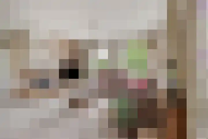 Baljuw 6 Naaldwijk thumbnail 5