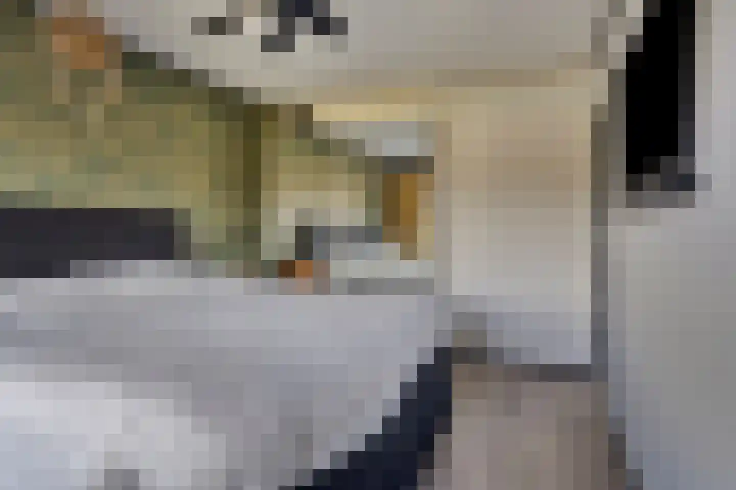 Baljuw 79 Hoorn thumbnail 19