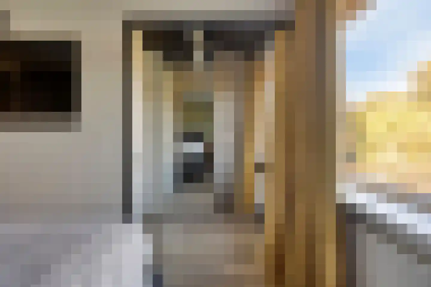 Baljuw 79 Hoorn thumbnail 20
