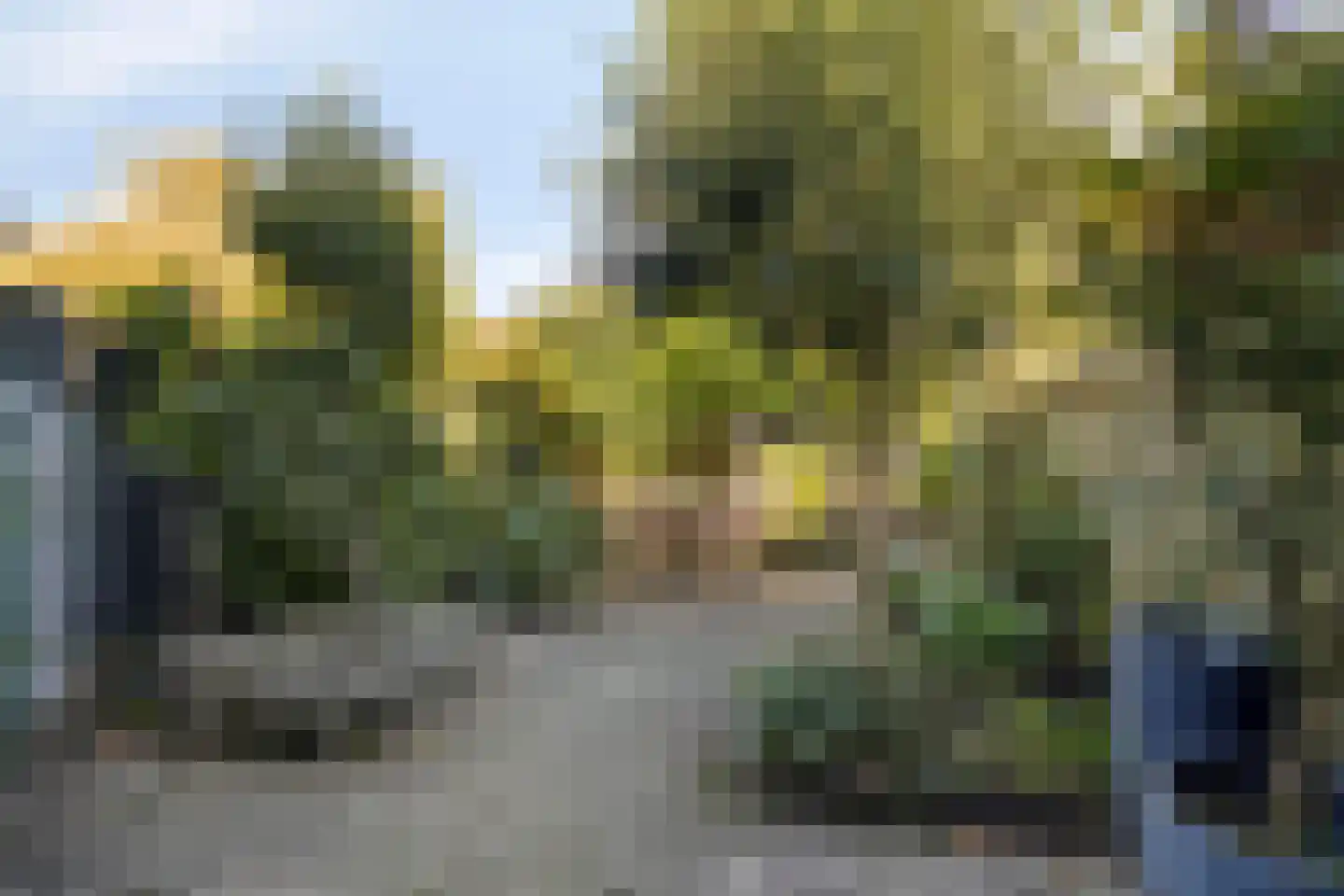 Baljuw 79 Hoorn thumbnail 28