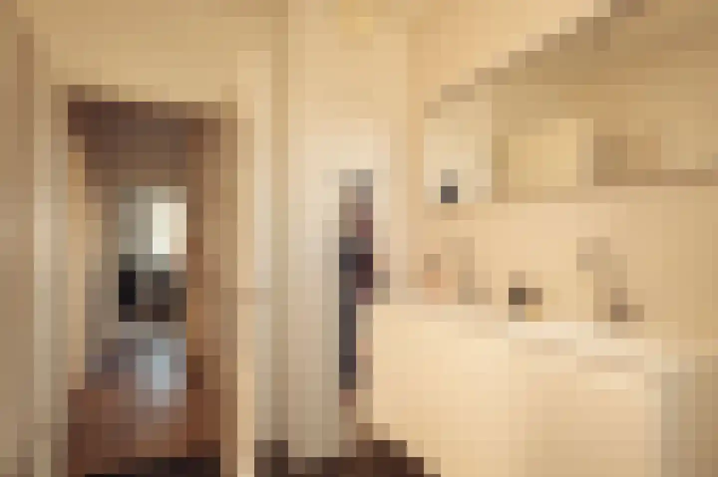 Baljuwenlaan 1 Amstelveen thumbnail 20