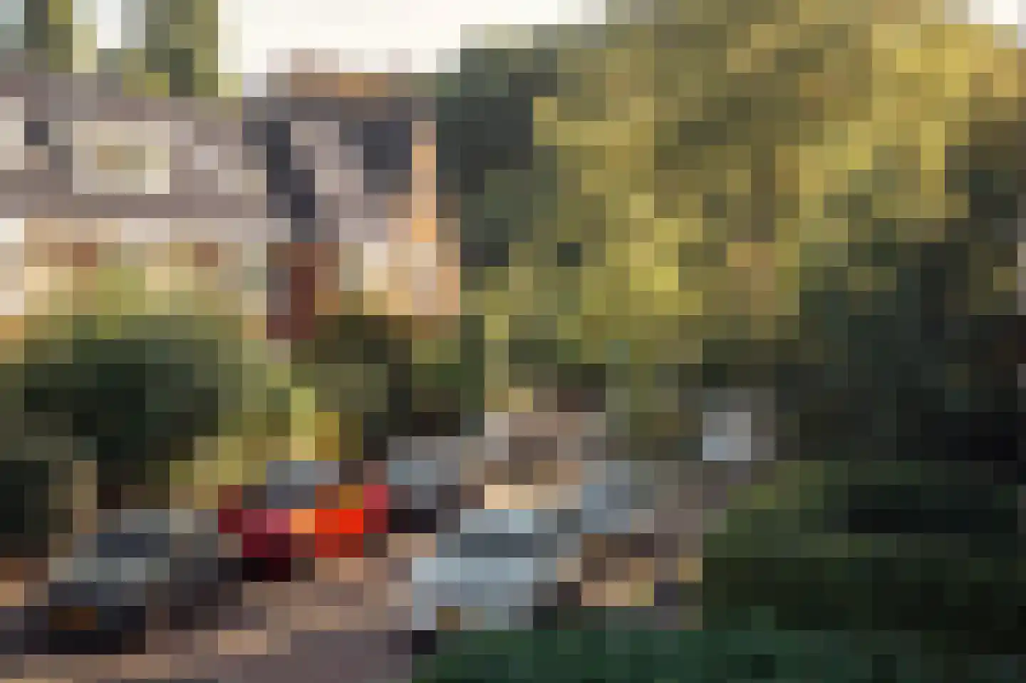 Baljuwenlaan 1 Amstelveen thumbnail 29