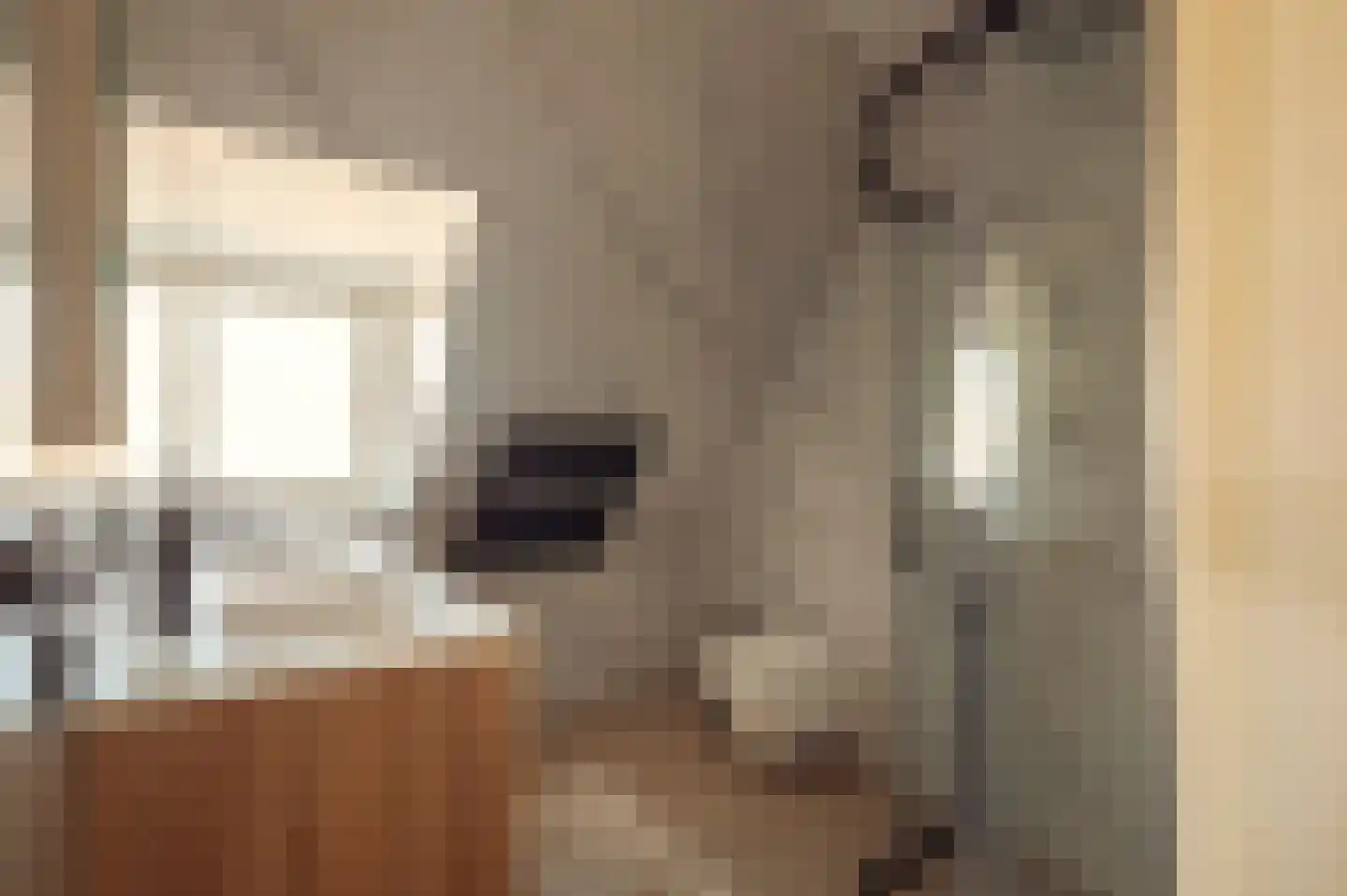 Baljuwenlaan 1 Amstelveen thumbnail 31