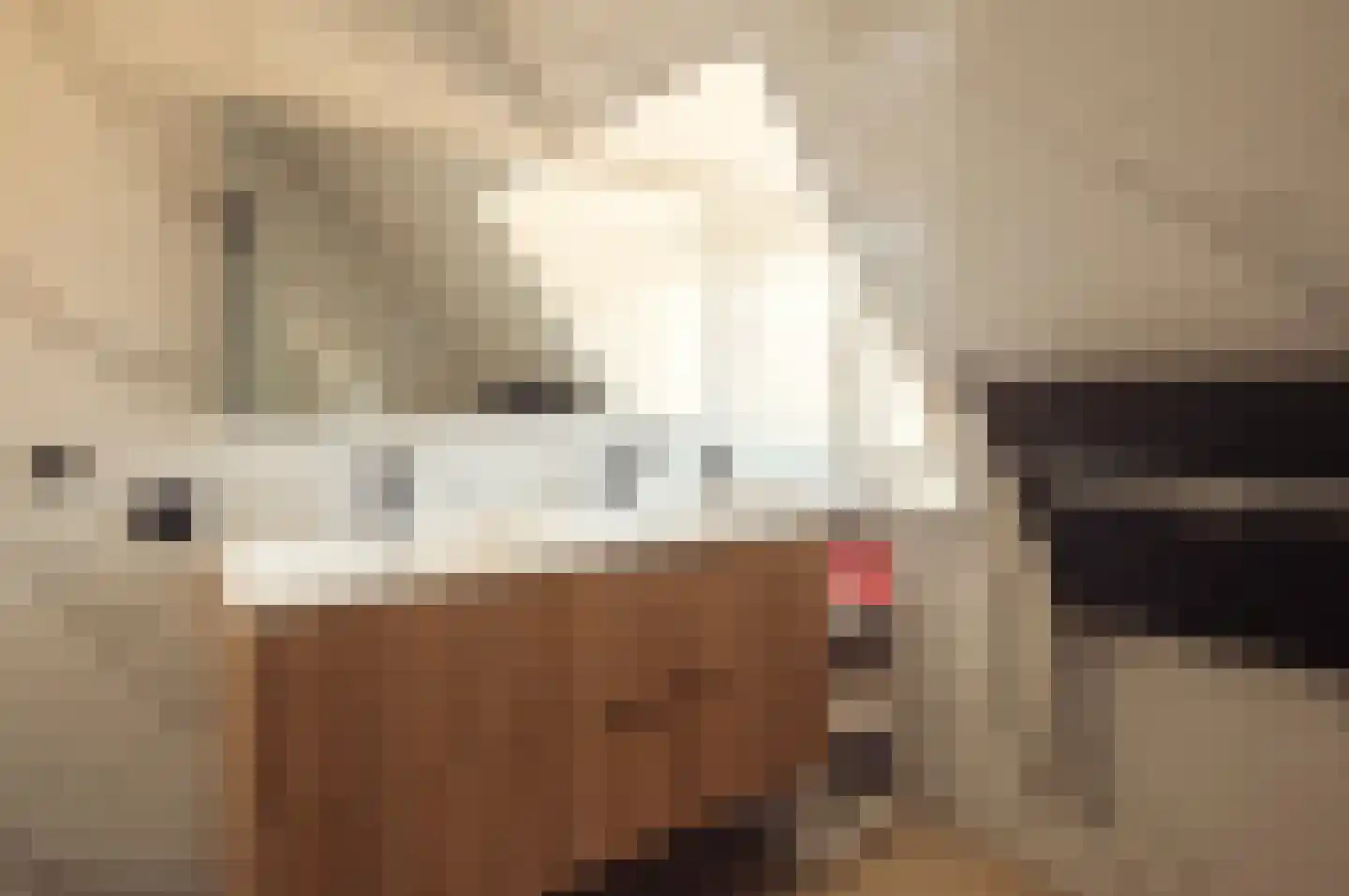 Baljuwenlaan 1 Amstelveen thumbnail 32