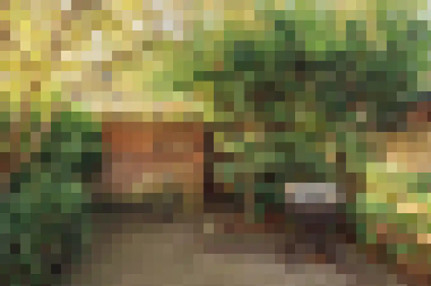 Baljuwenlaan 1 Amstelveen thumbnail 38