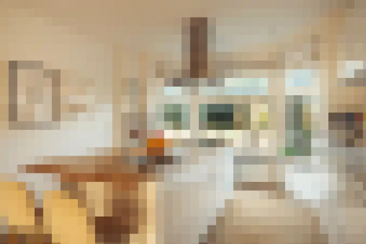 Baljuwenlaan 1 Amstelveen thumbnail 4