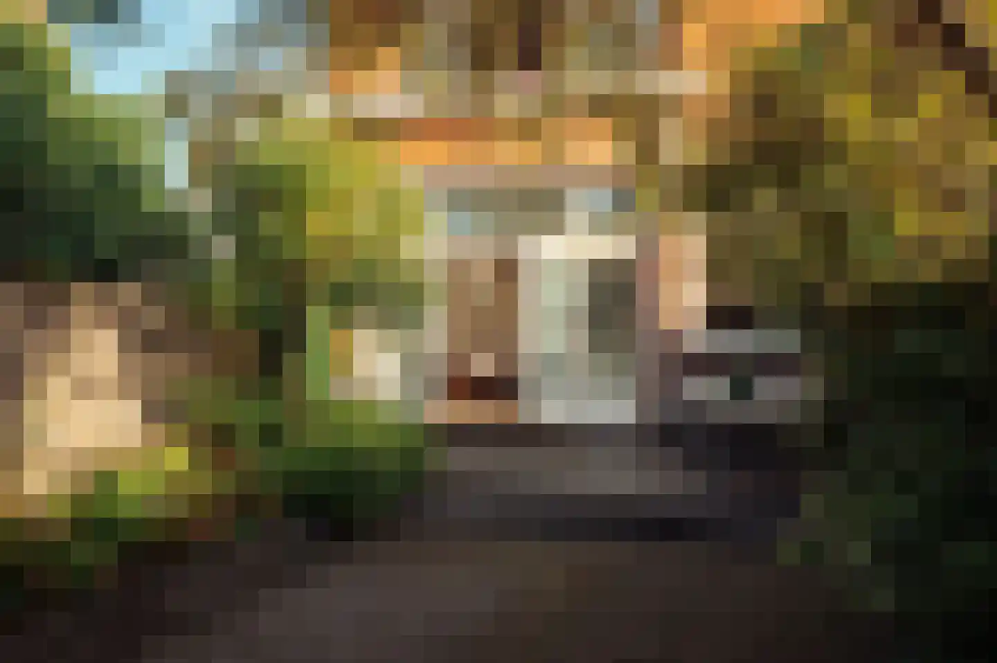 Baljuwenlaan 1 Amstelveen thumbnail 5