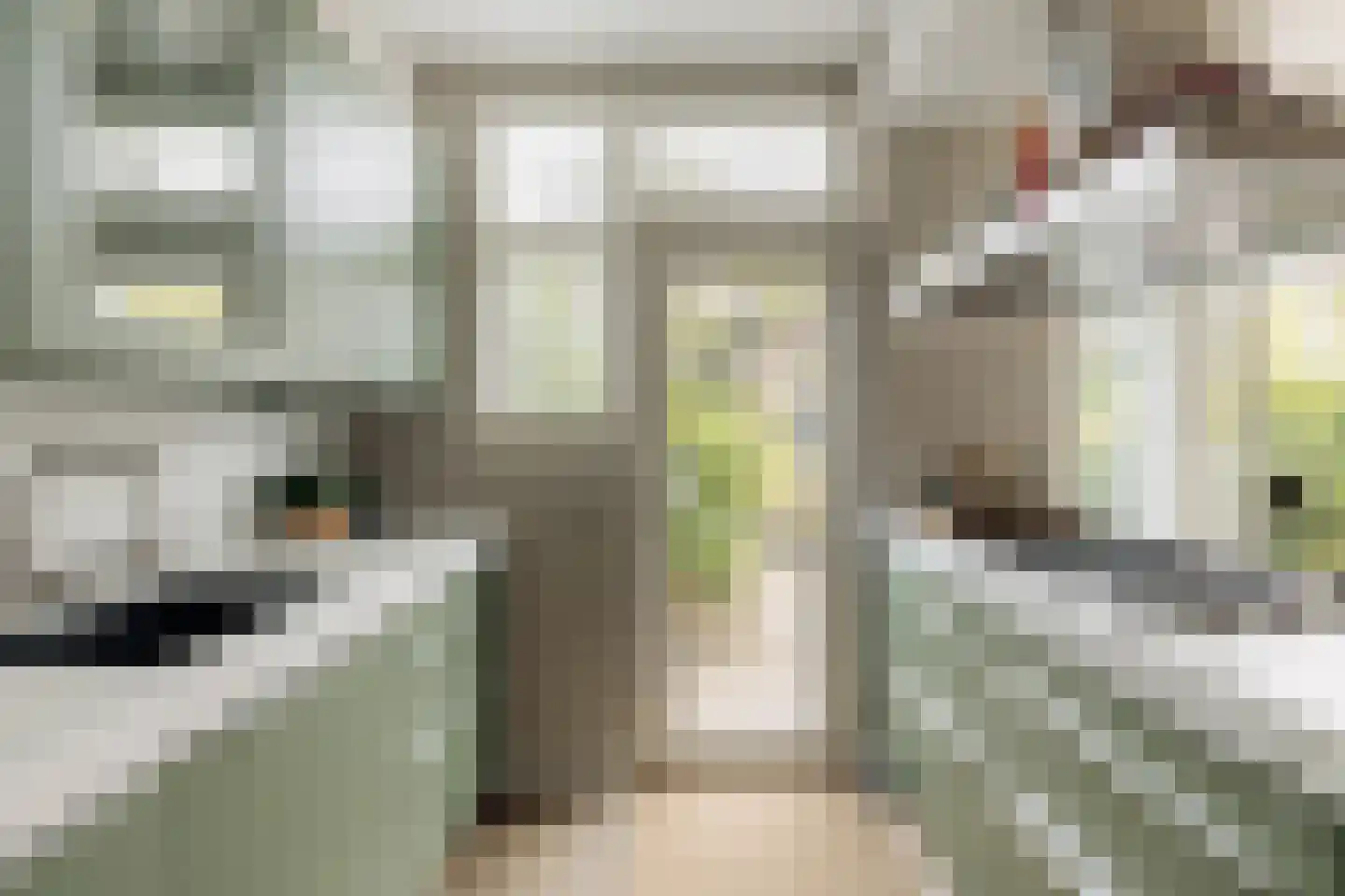 Baljuwenlaan 10 Amstelveen thumbnail 12