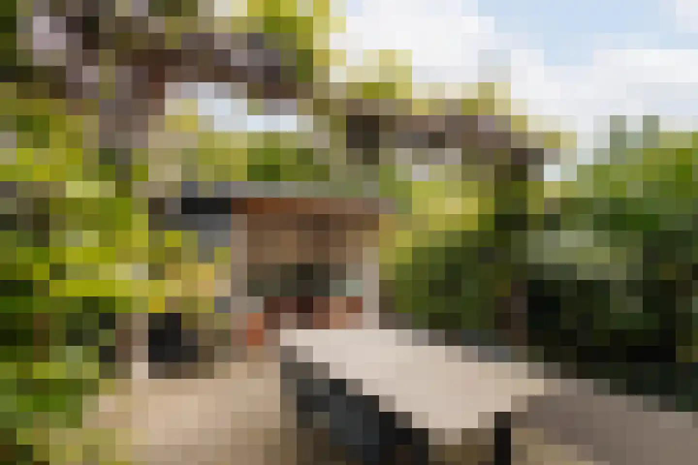 Baljuwenlaan 10 Amstelveen thumbnail 17