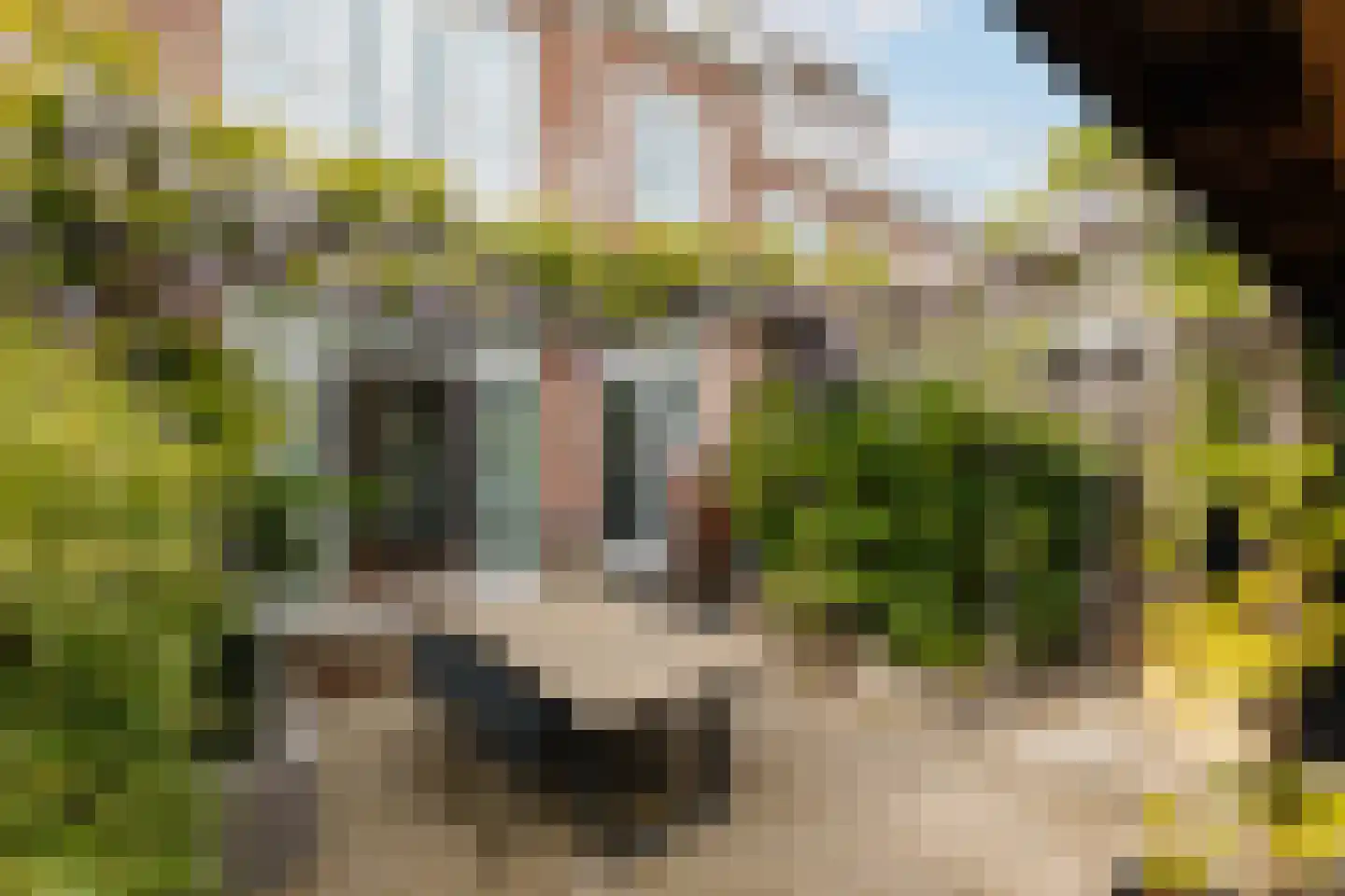 Baljuwenlaan 10 Amstelveen thumbnail 5