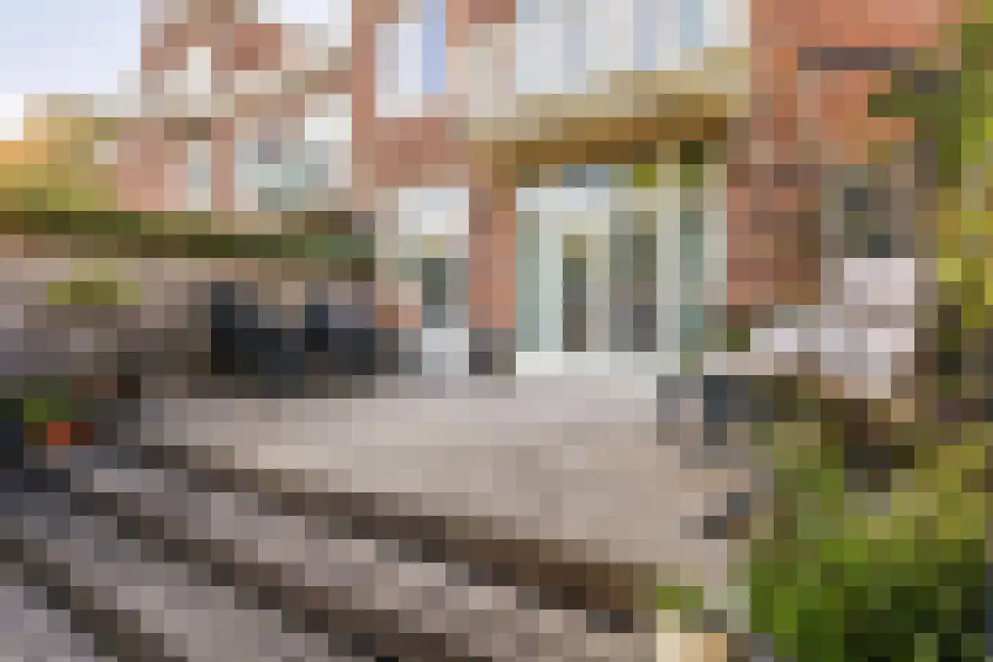 Baljuwenlaan 20 Amstelveen thumbnail 14