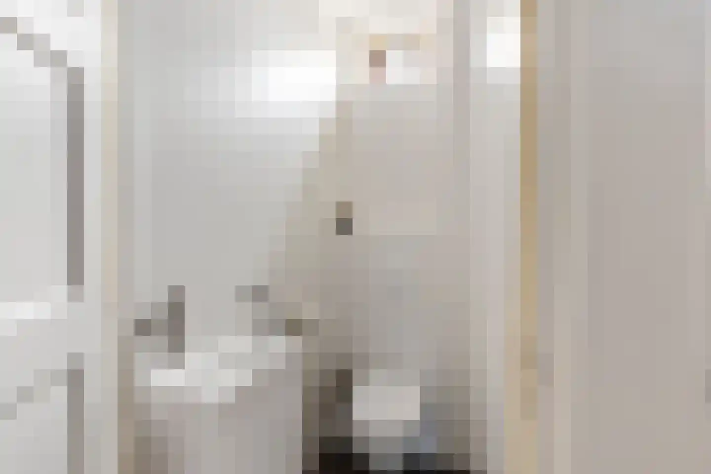 Baljuwenlaan 20 Amstelveen thumbnail 21