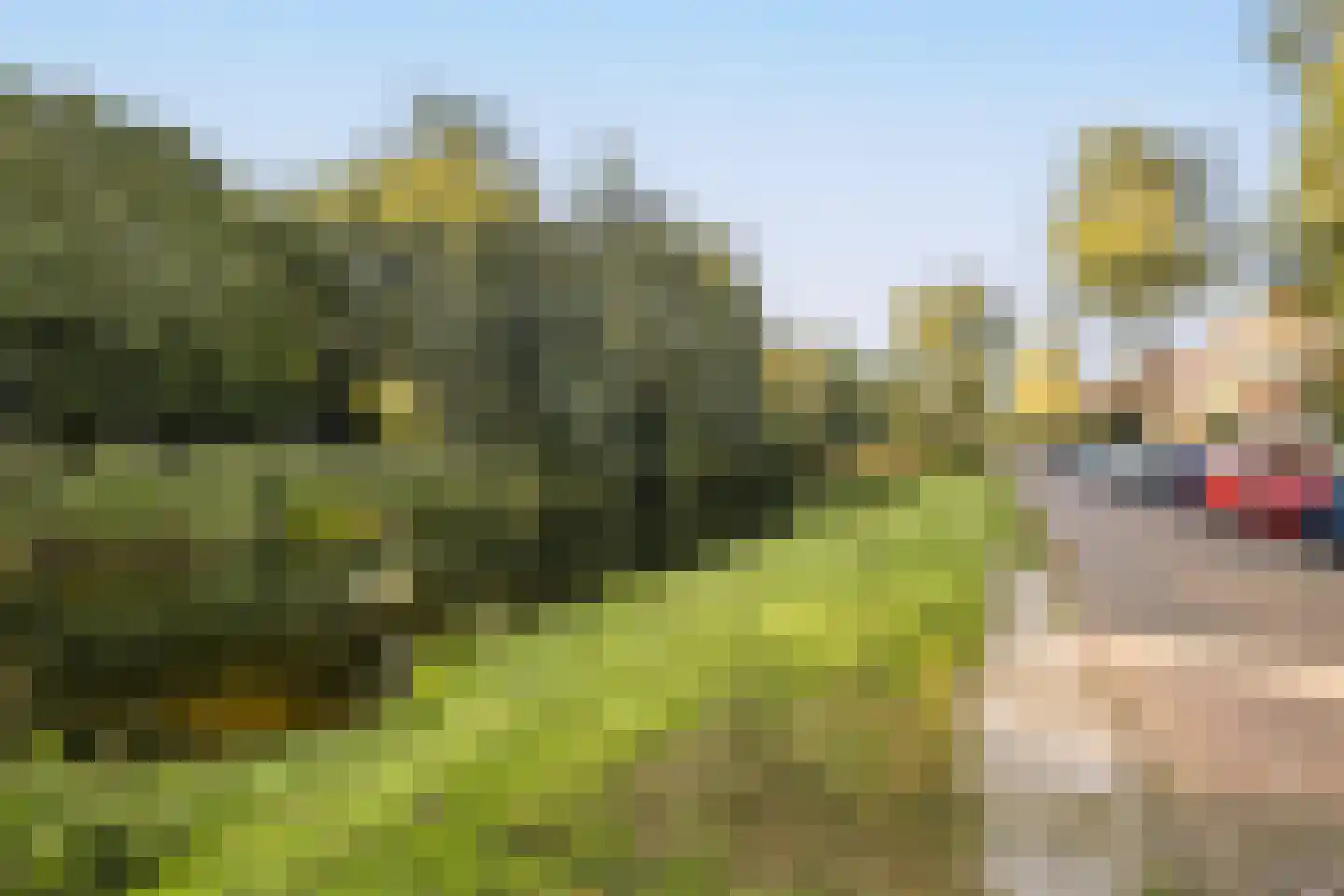 Baljuwenlaan 20 Amstelveen thumbnail 39