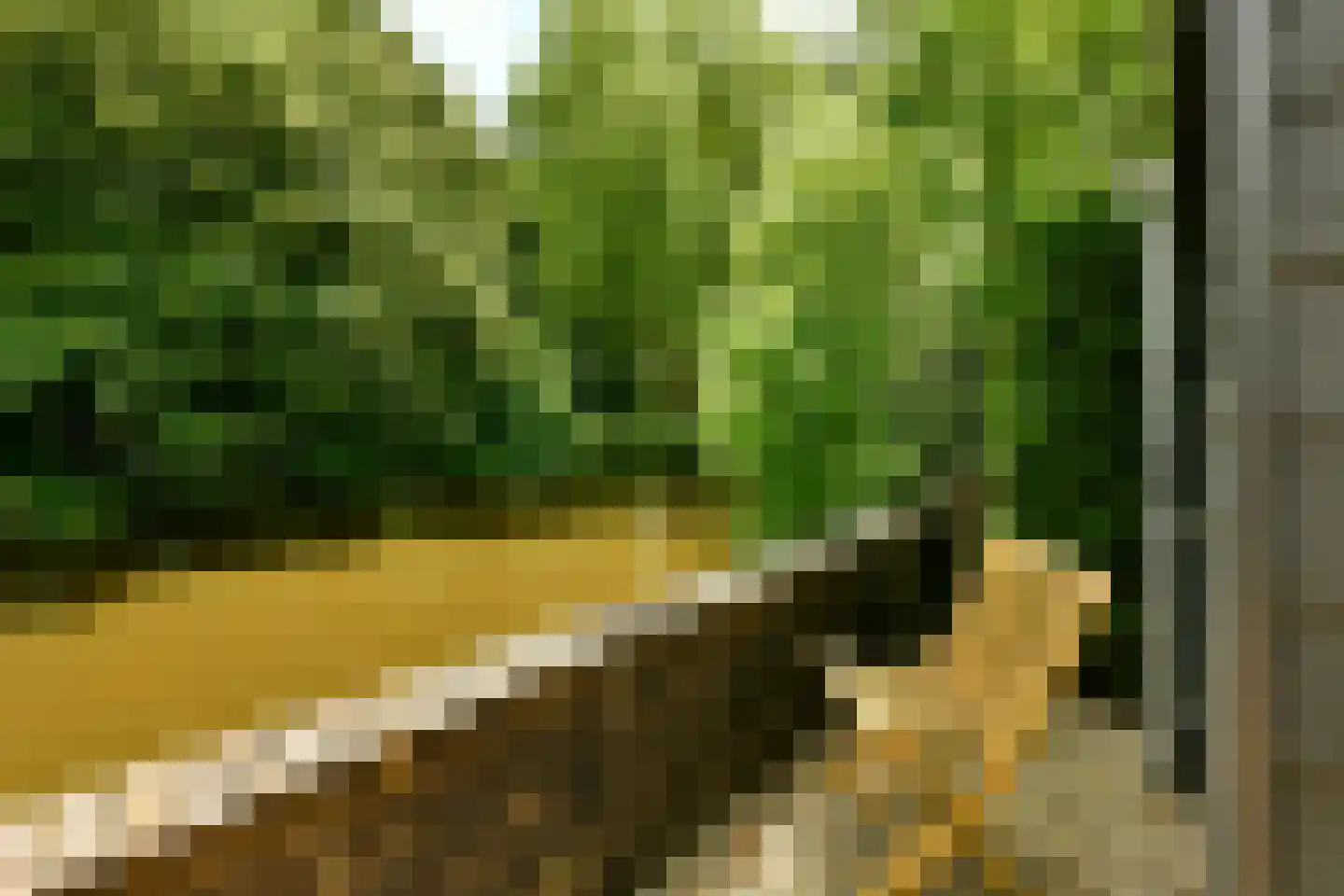 Baljuwenlaan 26 Amstelveen thumbnail 15