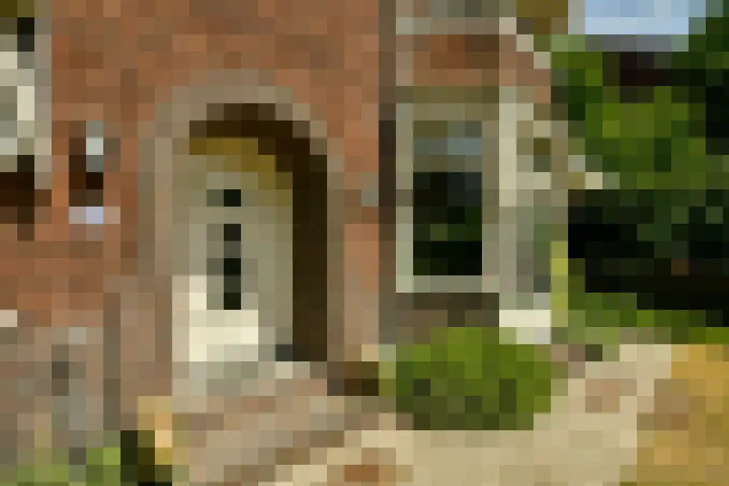 Baljuwenlaan 26 Amstelveen thumbnail 33
