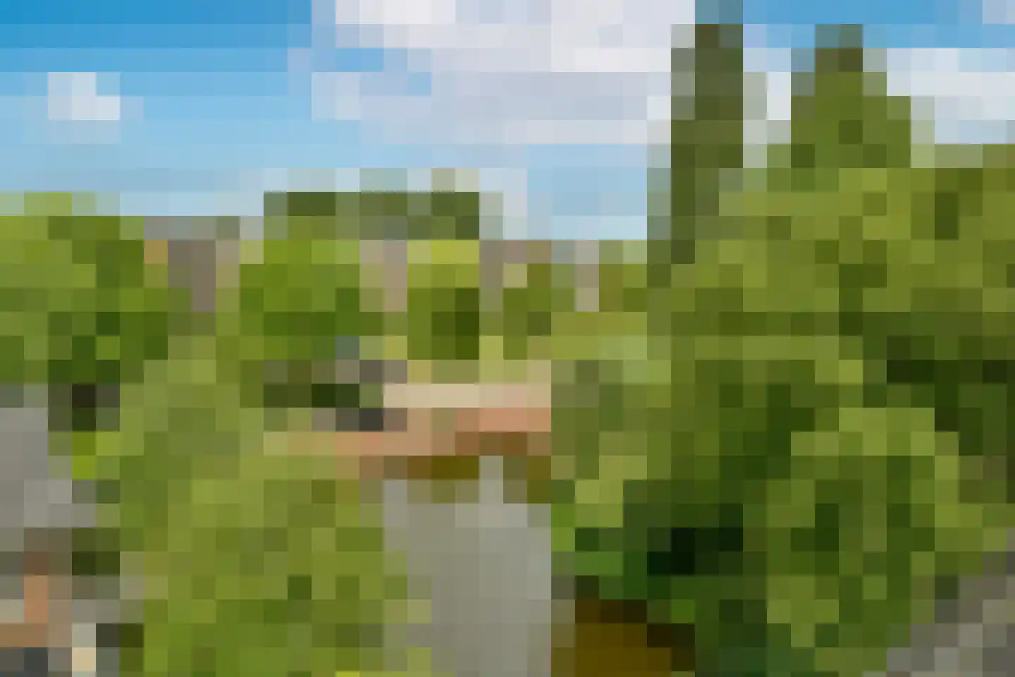 Baljuwenlaan 26 Amstelveen thumbnail 37