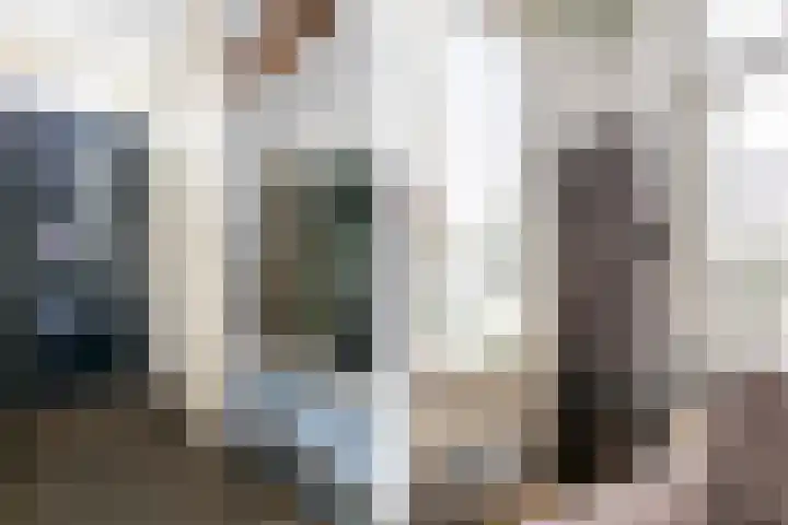 Baljuwlaan 14 Rockanje thumbnail 10