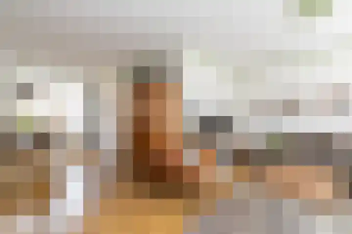 Baljuwlaan 14 Rockanje thumbnail 13