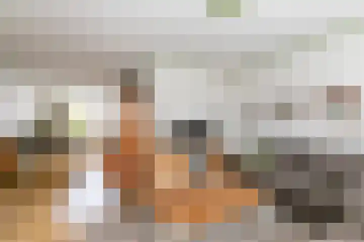 Baljuwlaan 14 Rockanje thumbnail 14