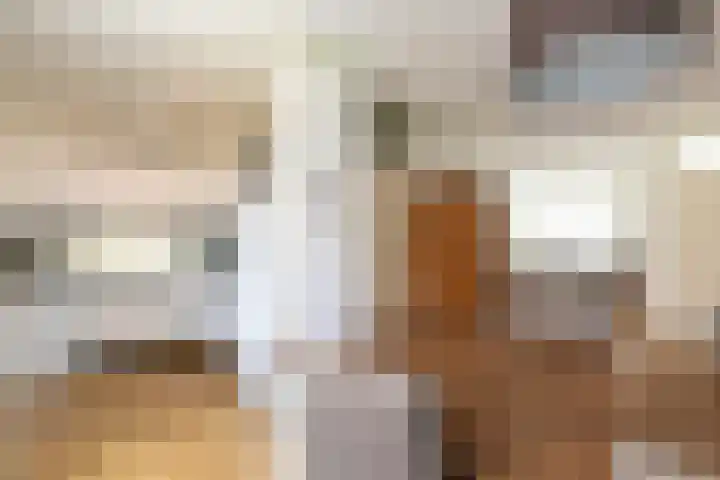 Baljuwlaan 14 Rockanje thumbnail 15