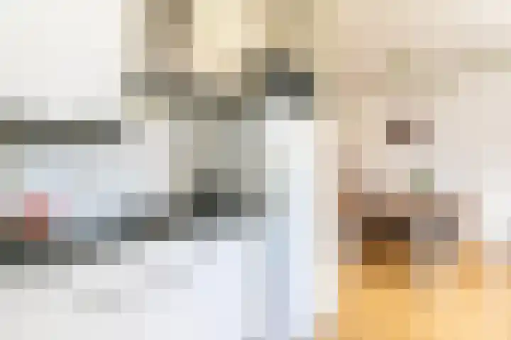 Baljuwlaan 14 Rockanje thumbnail 17