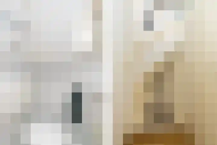 Baljuwlaan 14 Rockanje thumbnail 19