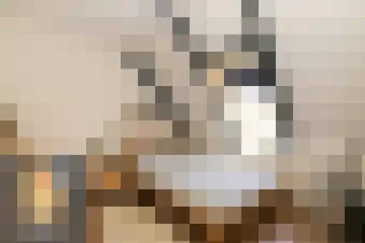 Baljuwlaan 14 Rockanje thumbnail 25