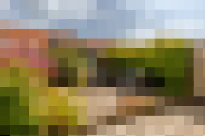 Baljuwlaan 14 Rockanje thumbnail 29