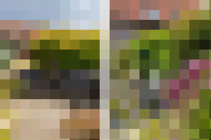 Baljuwlaan 14 Rockanje thumbnail 30