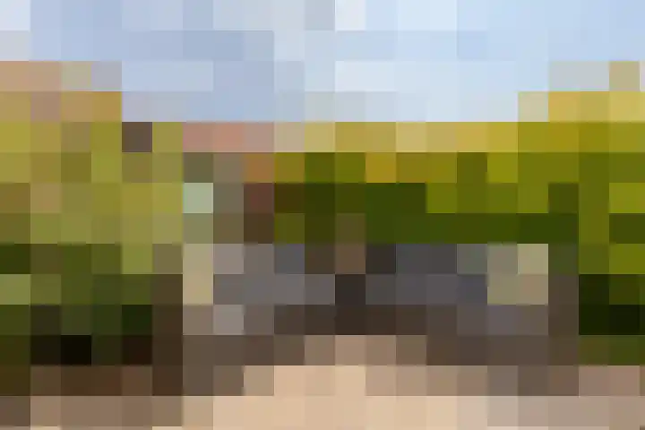 Baljuwlaan 14 Rockanje thumbnail 31