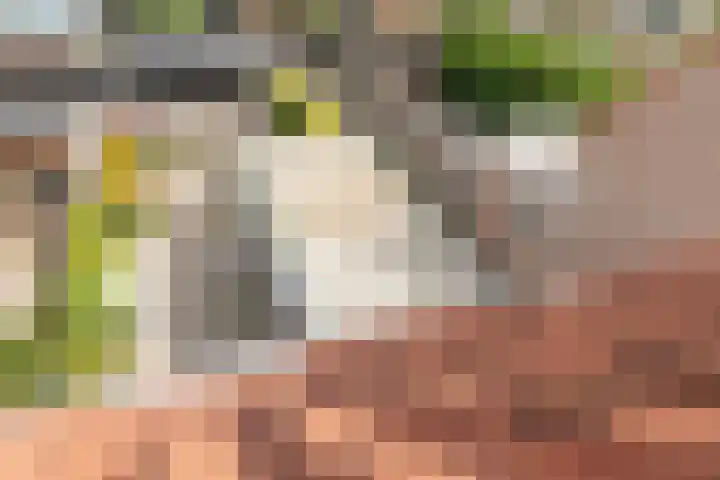 Baljuwlaan 14 Rockanje thumbnail 32