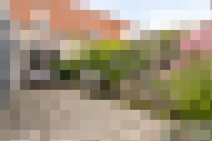 Baljuwlaan 14 Rockanje thumbnail 33
