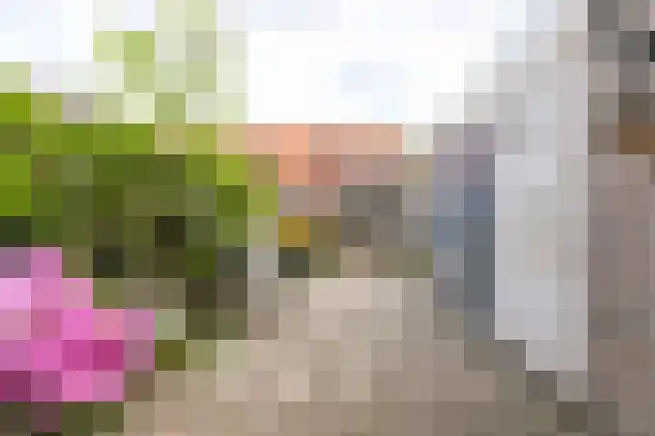 Baljuwlaan 14 Rockanje thumbnail 34