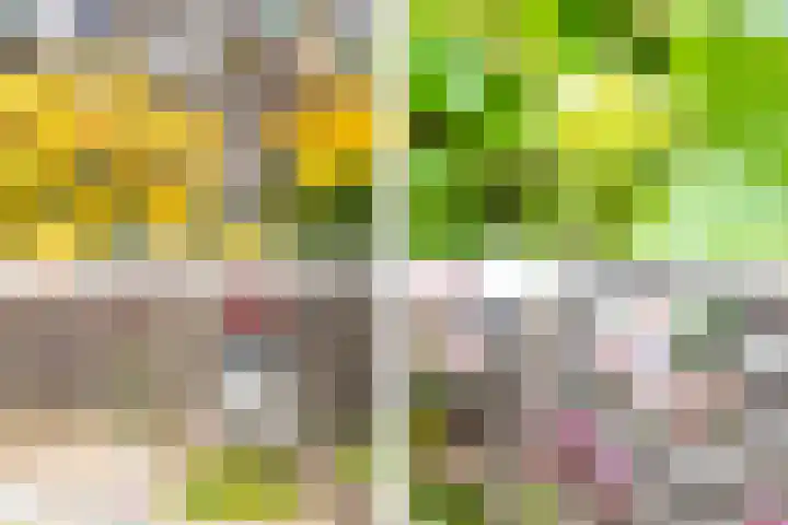 Baljuwlaan 14 Rockanje thumbnail 35
