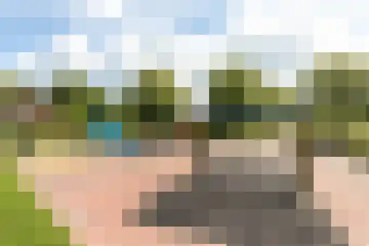 Baljuwlaan 14 Rockanje thumbnail 39
