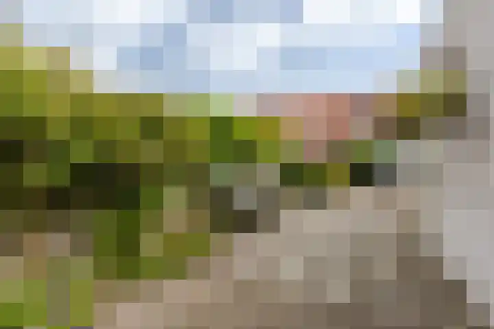 Baljuwlaan 14 Rockanje thumbnail 40