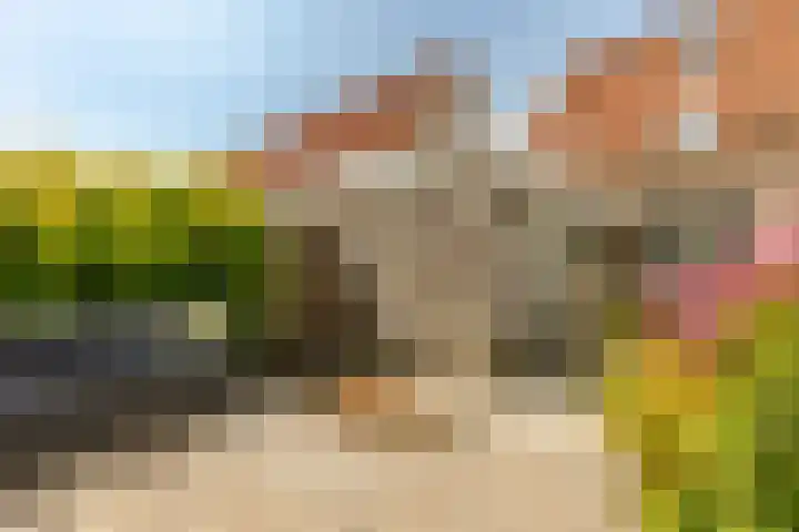 Baljuwlaan 14 Rockanje thumbnail 41