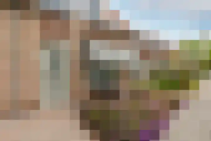 Baljuwlaan 14 Rockanje thumbnail 43