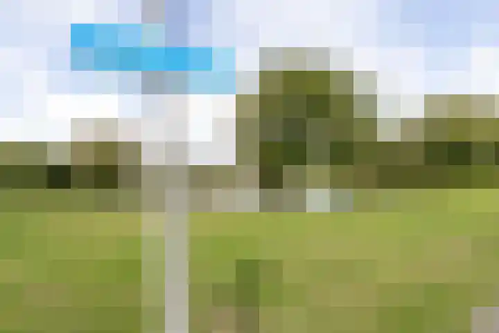 Baljuwlaan 14 Rockanje thumbnail 6